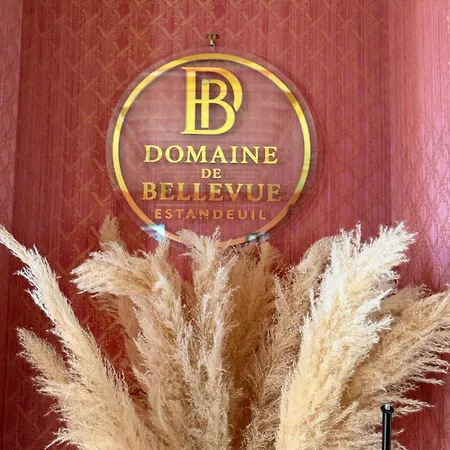 Domaine De Bellevue فندق مبيت وإفطار Estandeuil
